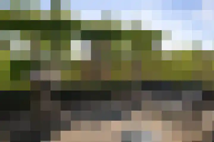 Winterswijkseweg 26 Groenlo thumbnail 15