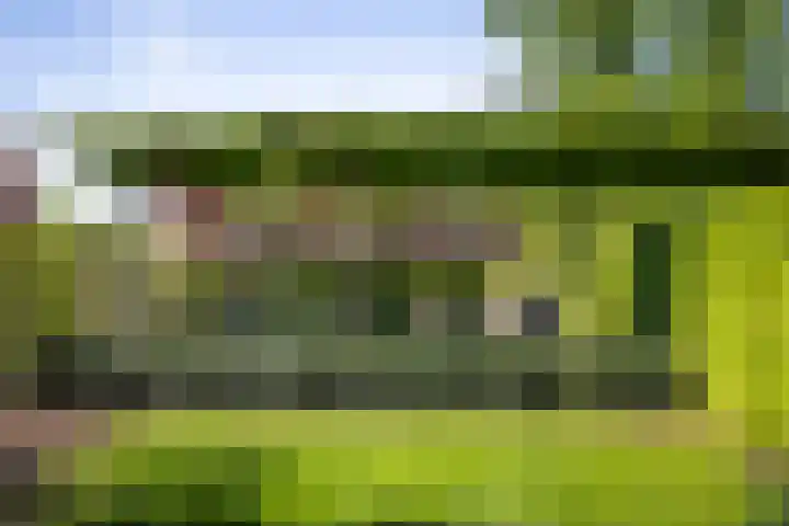 Winterswijkseweg 26 Groenlo thumbnail 16