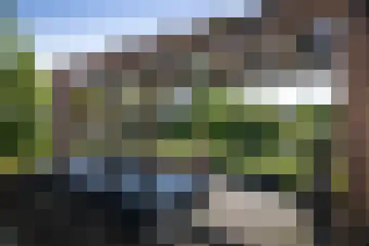 Winterswijkseweg 26 Groenlo thumbnail 4