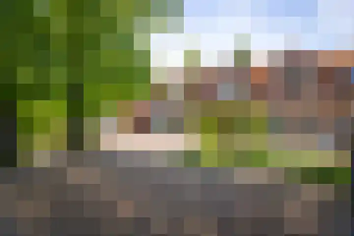 Winterswijkseweg 26 Groenlo thumbnail 63