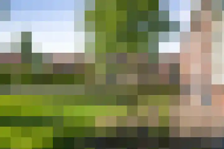 Winterswijkseweg 26 Groenlo thumbnail 68