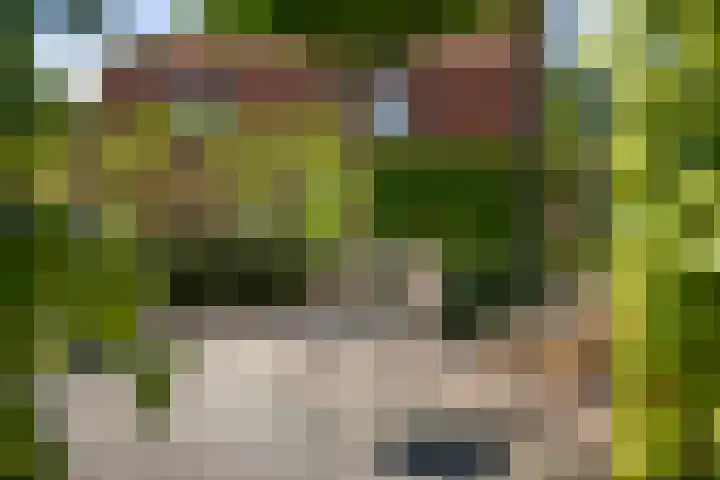 Winterswijkseweg 26 Groenlo thumbnail 69