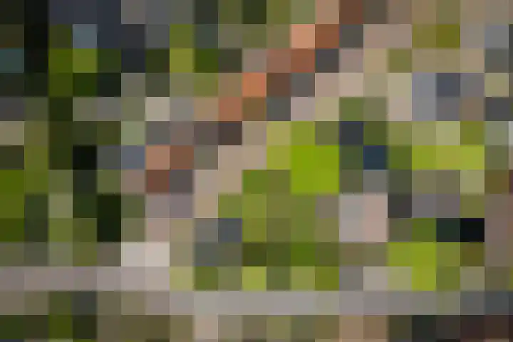 Winterswijkseweg 26 Groenlo thumbnail 77