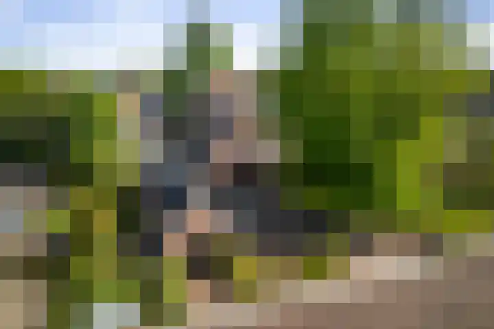 Winterswijkseweg 26 Groenlo thumbnail 9