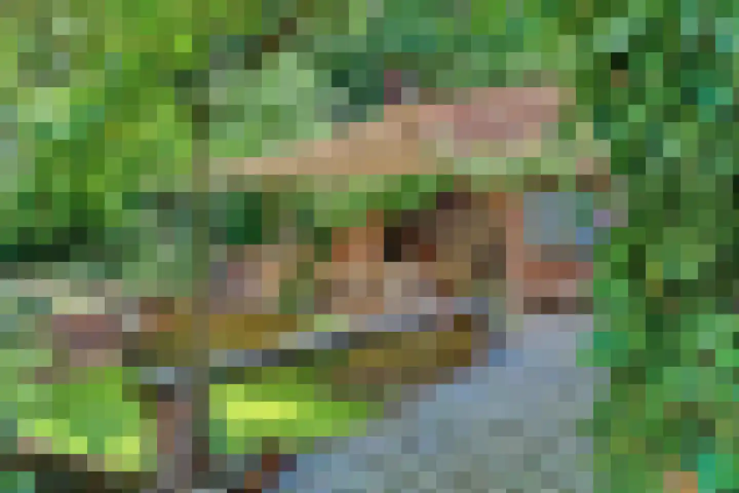 Winterswijkseweg 86 Groenlo thumbnail 6