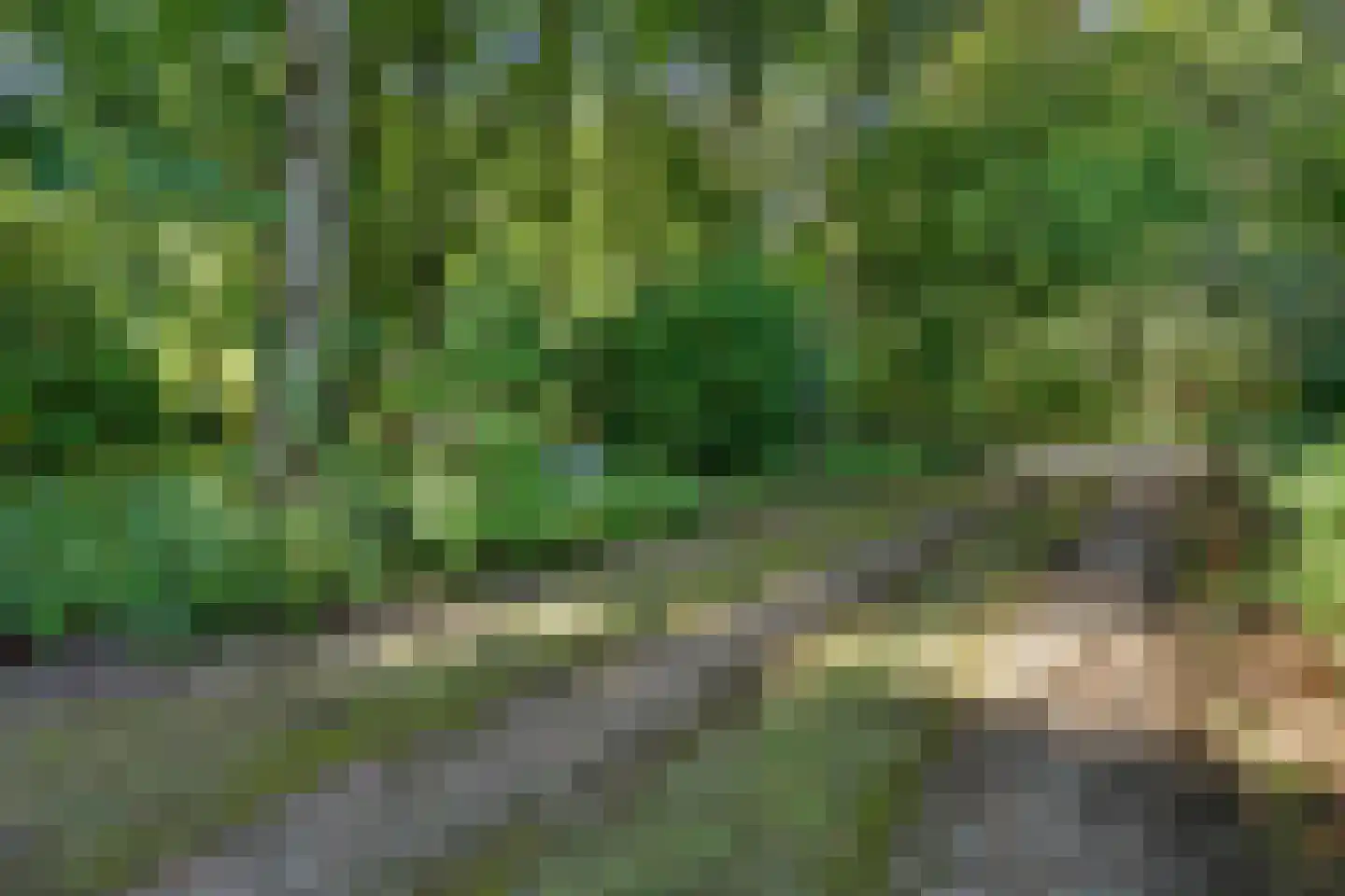 Winterswijkseweg 86 Groenlo thumbnail 9