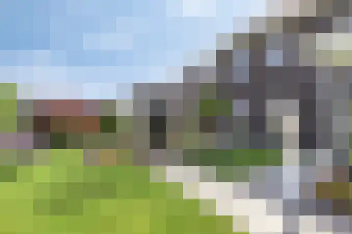Wintertaling 11 Numansdorp thumbnail 46