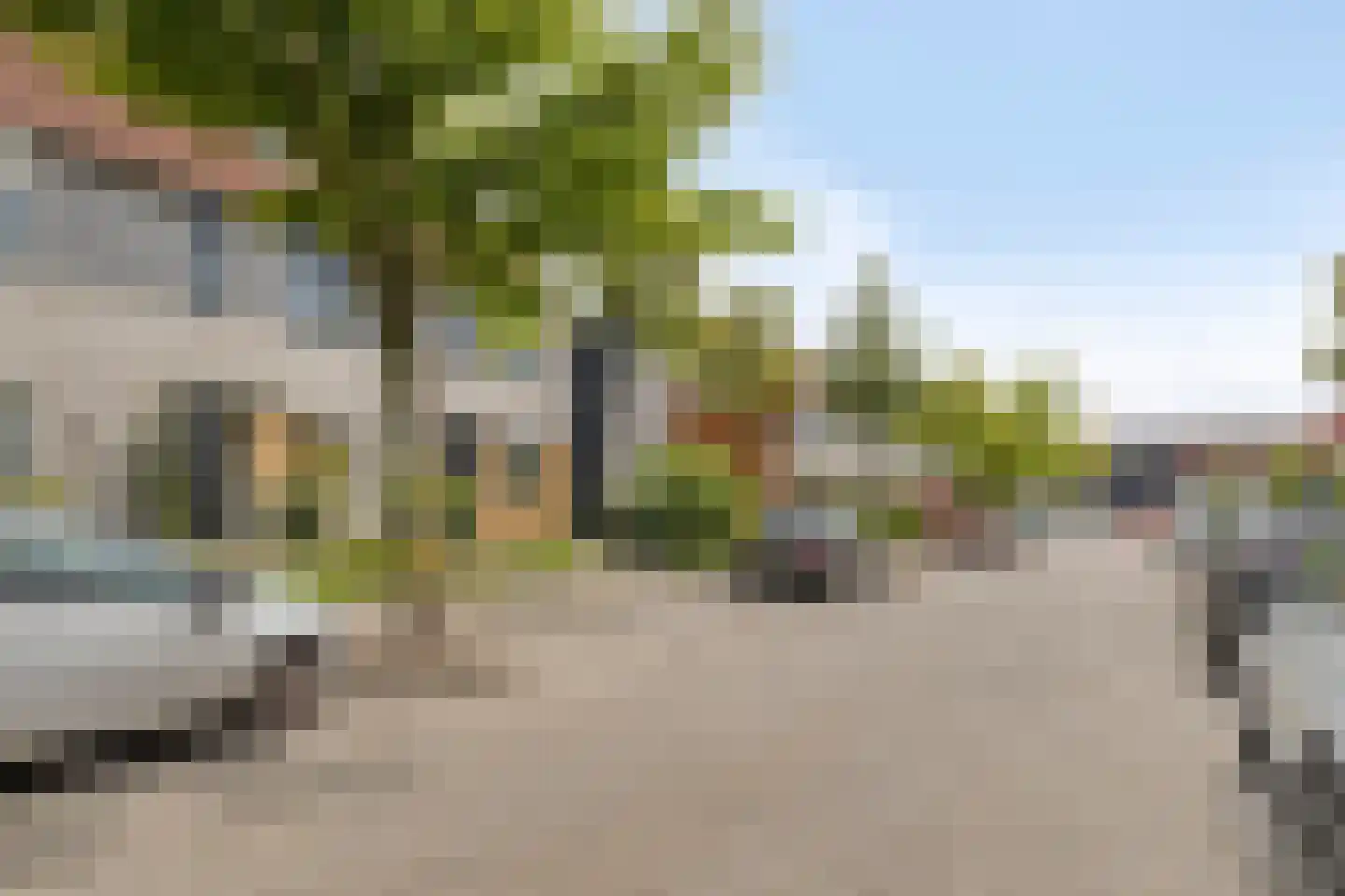 Wintertaling 15 Bergen op Zoom thumbnail 38