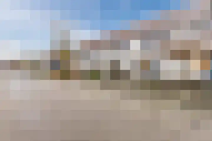 Wintertaling 23 Bergen op Zoom thumbnail 7