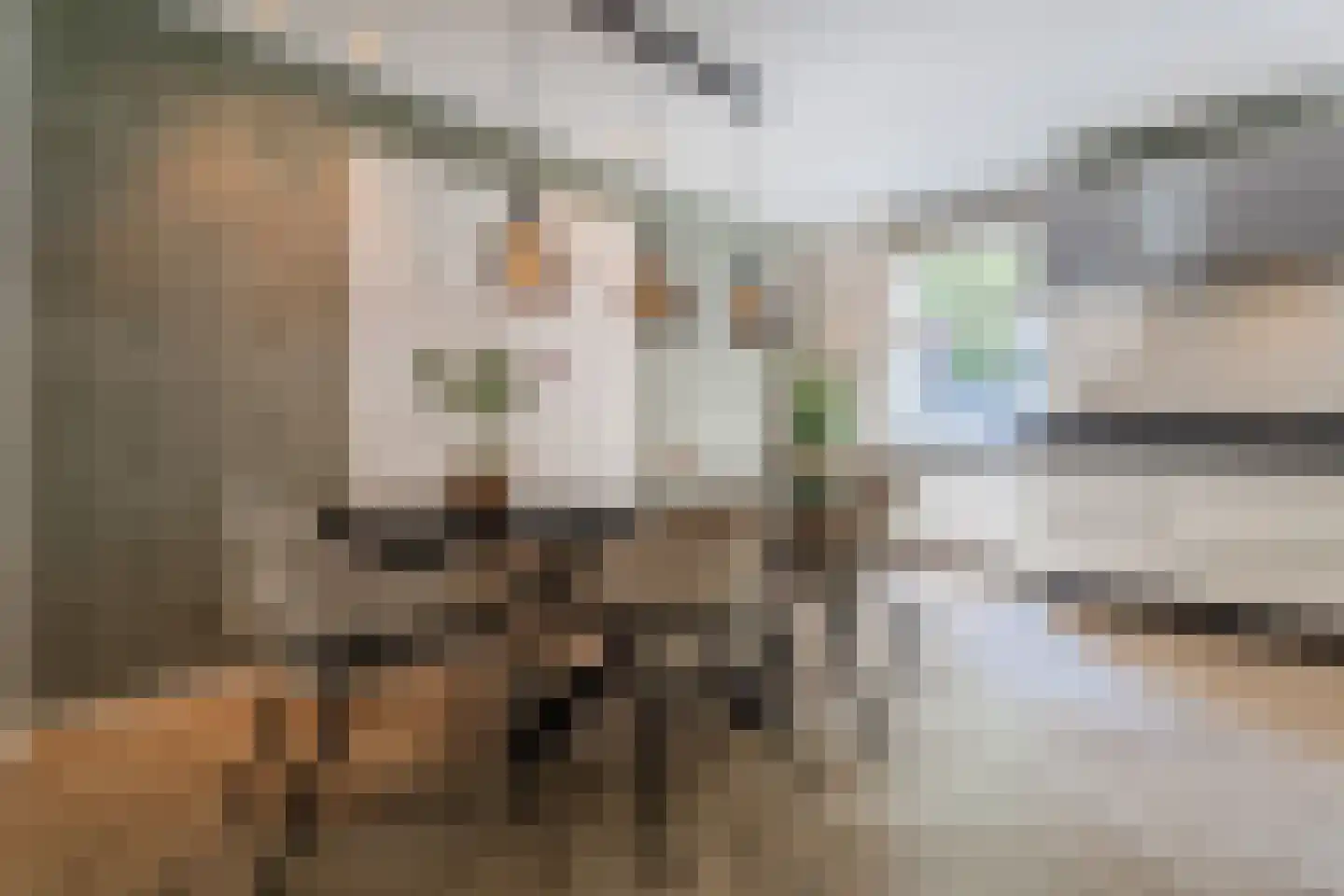 Wintertaling 31 Wijchen thumbnail 10