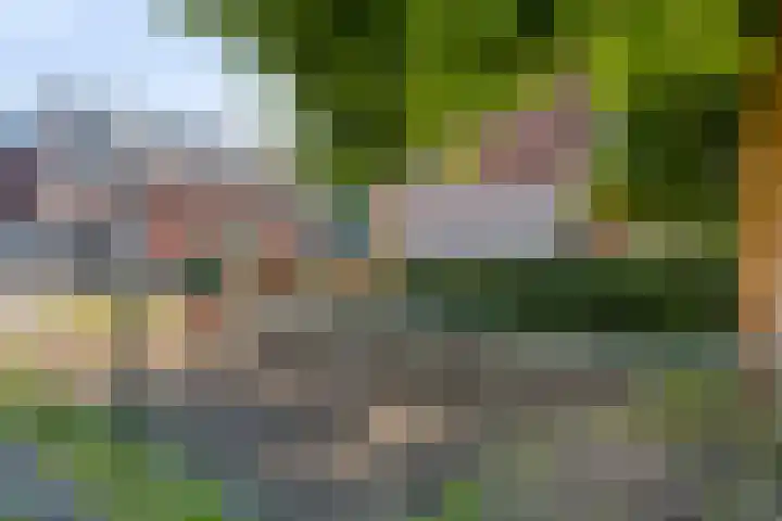 Wintertaling 36 Wijchen thumbnail 31