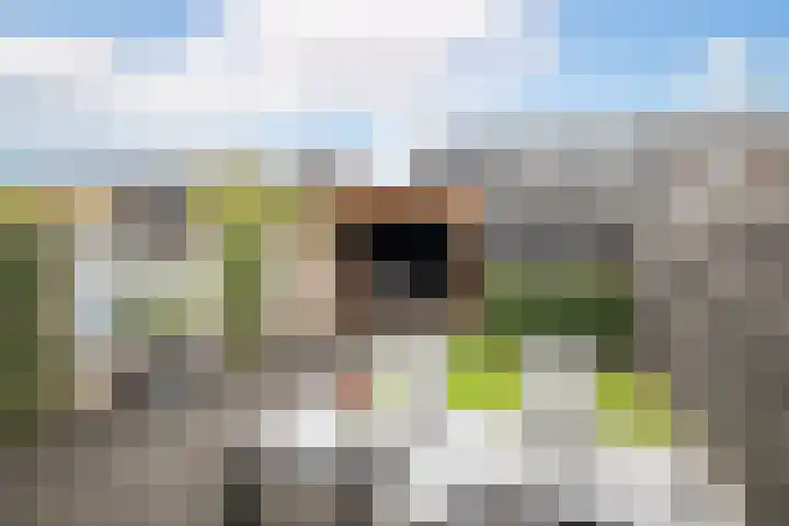 Wintertaling 39 Hoogkarspel thumbnail 28