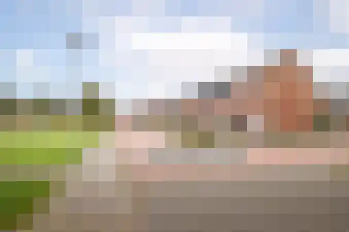 Wintertaling 39 Hoogkarspel thumbnail 32