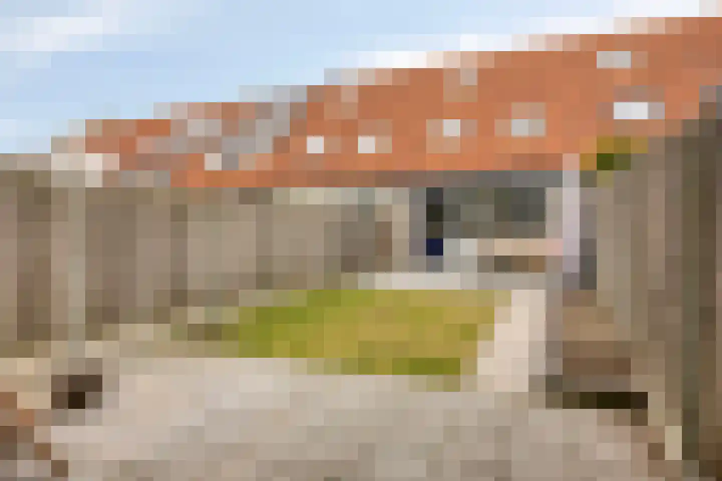 Wintertaling 7 Bergen op Zoom thumbnail 24