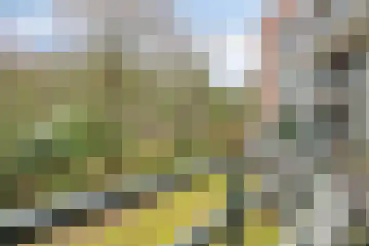 Wintervlinderhof 18 Oosterhout thumbnail 12