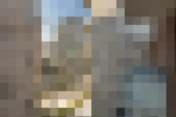 Winthontstraat 10 Amsterdam thumbnail 25
