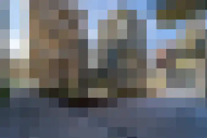 Winthontstraat 30 Amsterdam thumbnail 31