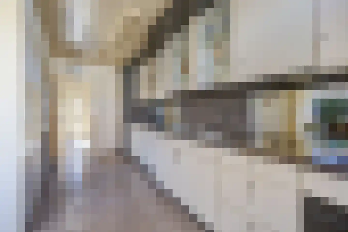 Wipakker 11 Etten-Leur thumbnail 12