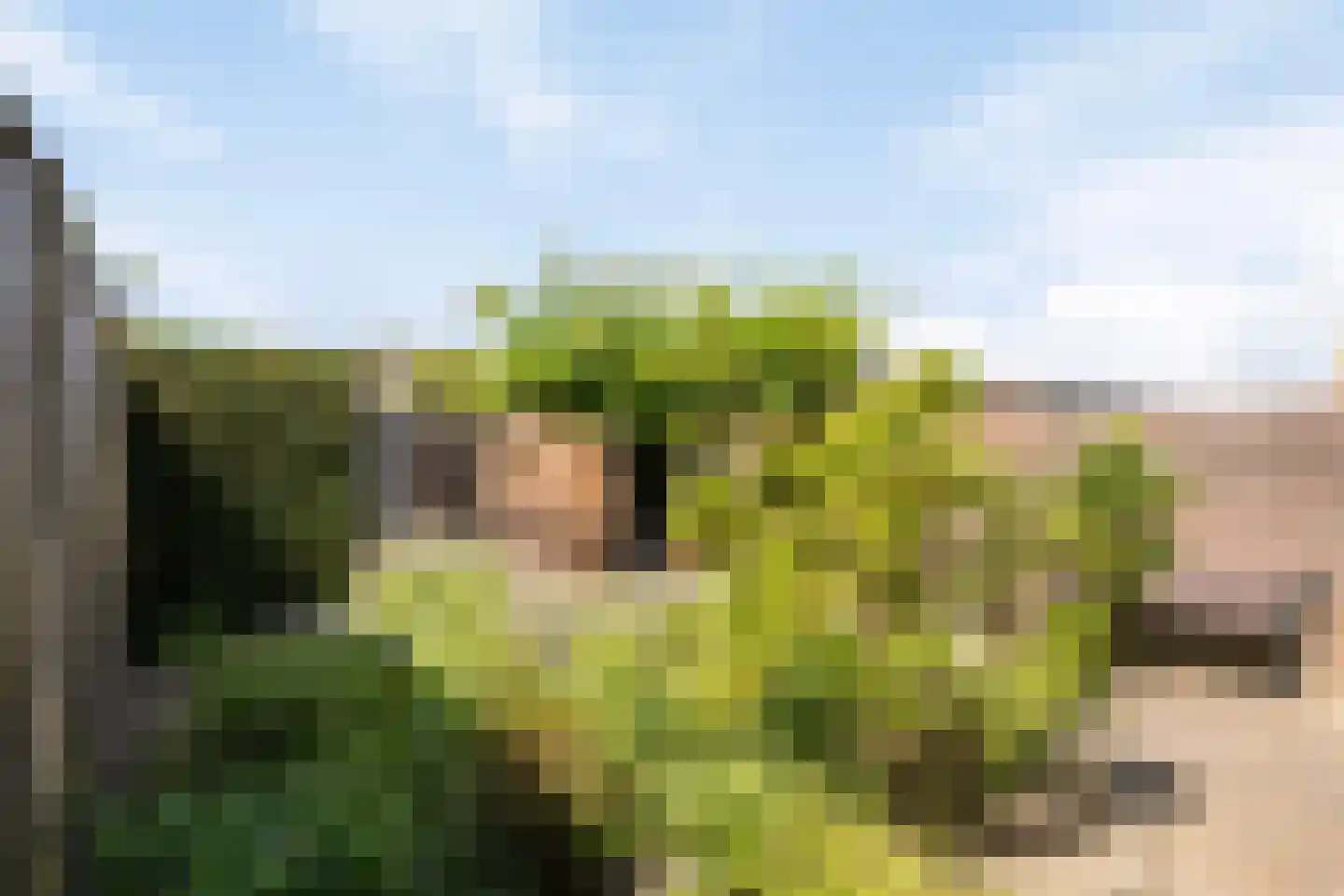 Wipakker 29 Etten-Leur thumbnail 29