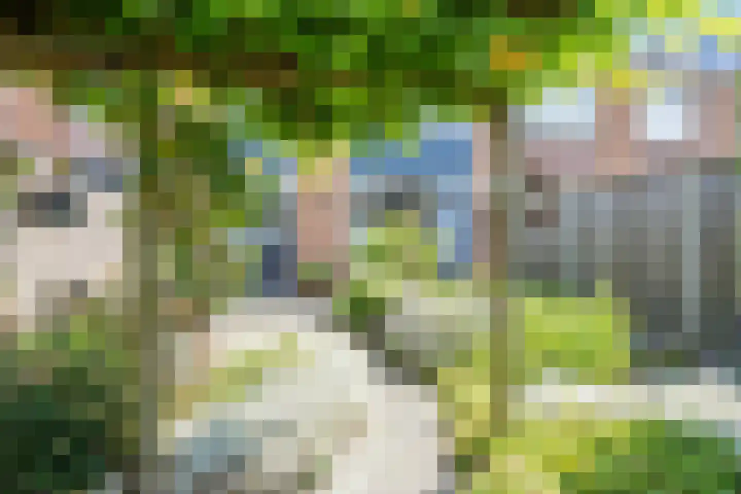 Wipakker 29 Etten-Leur thumbnail 31