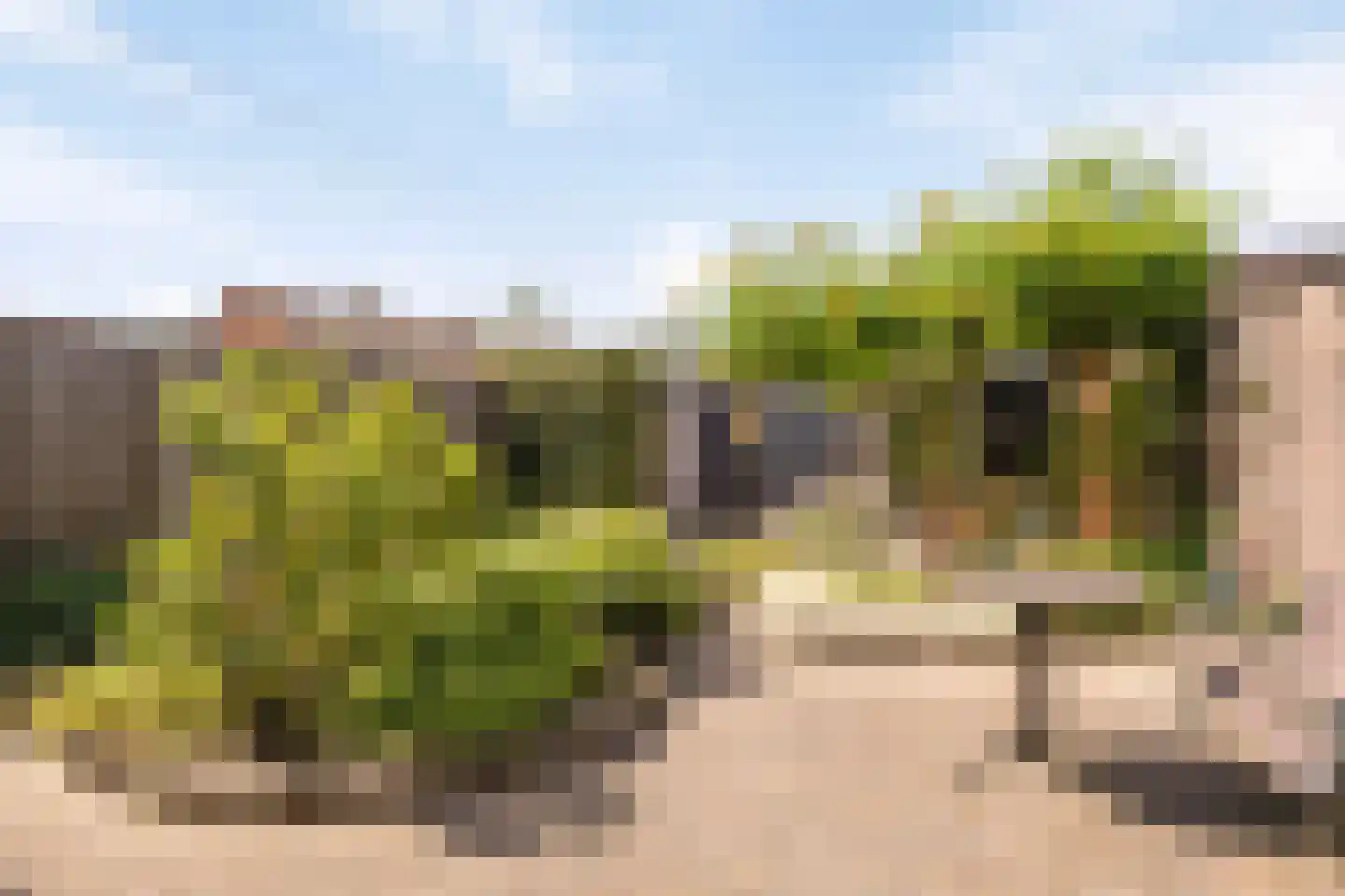 Wipakker 29 Etten-Leur thumbnail 5