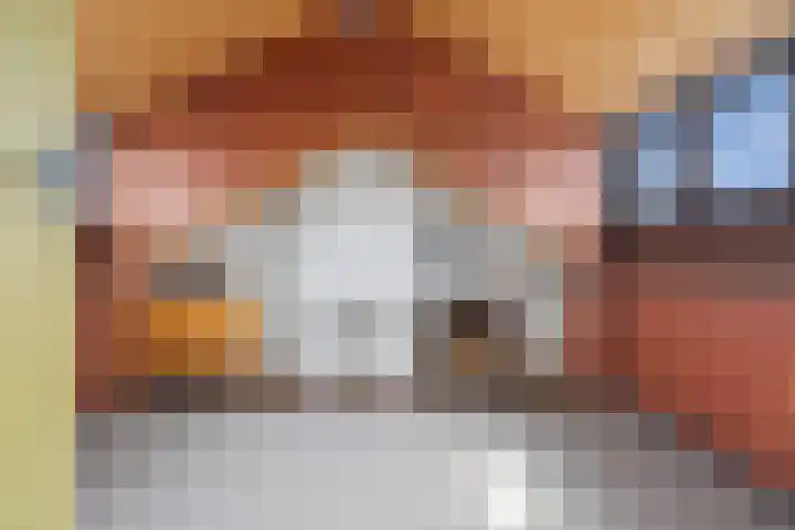 Wipakker 35 Etten-Leur thumbnail 32