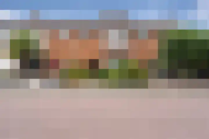 Wipakker 35 Etten-Leur thumbnail 37