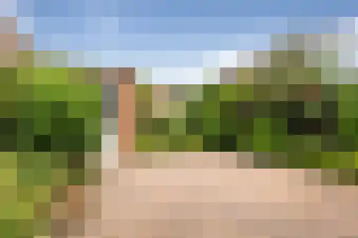 Wipakker 35 Etten-Leur thumbnail 5