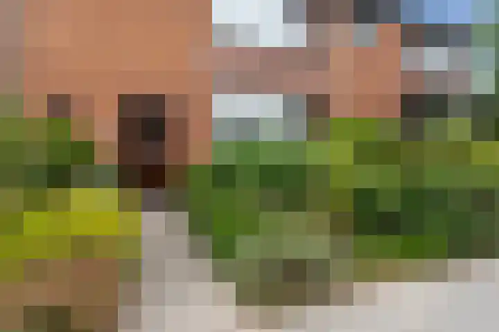 Wipakker 35 Etten-Leur thumbnail 6