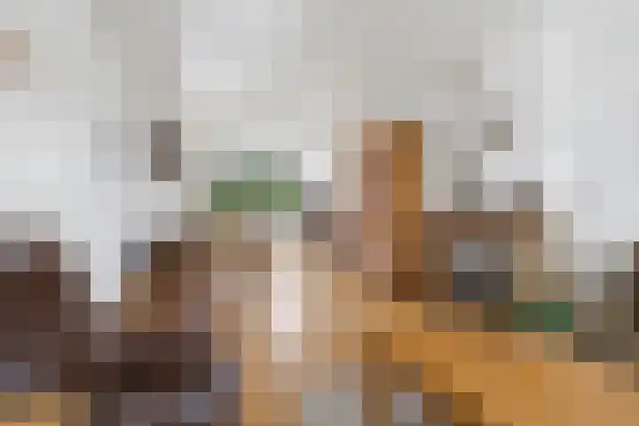 Wipakker 35 Etten-Leur thumbnail 9