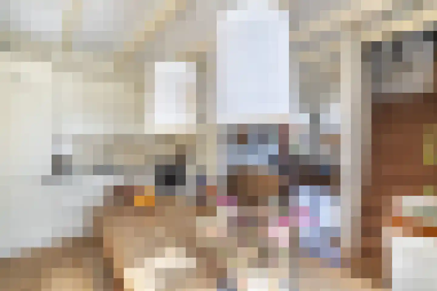 Wipbrugsteeg 2 Hindeloopen thumbnail 13