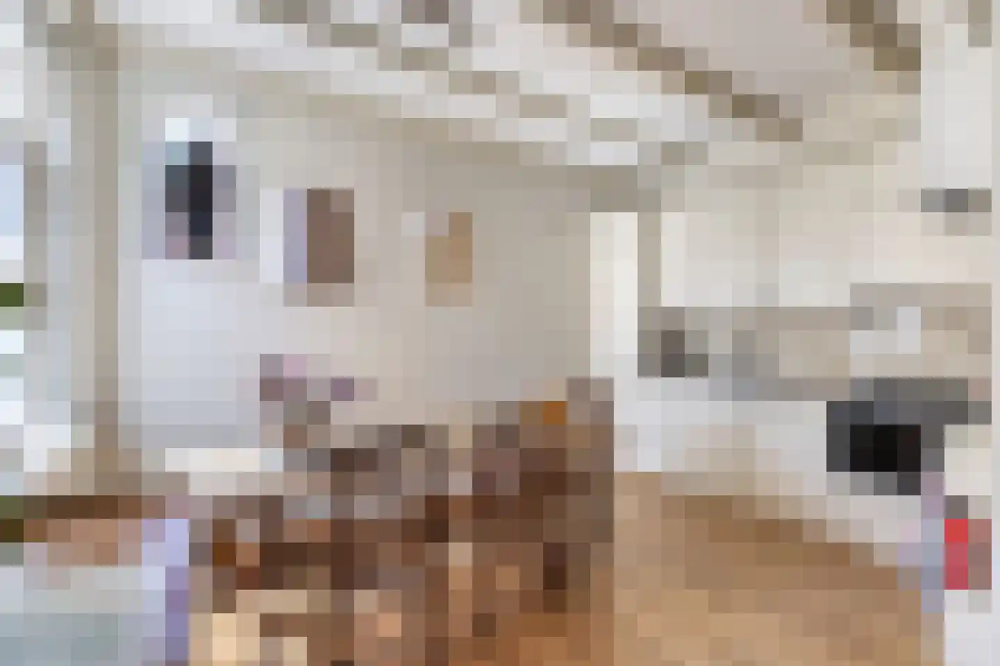 Wipbrugsteeg 2 Hindeloopen thumbnail 15