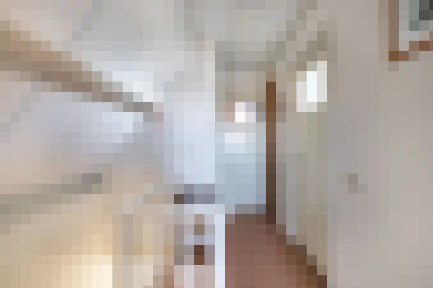 Wipbrugsteeg 2 Hindeloopen thumbnail 16