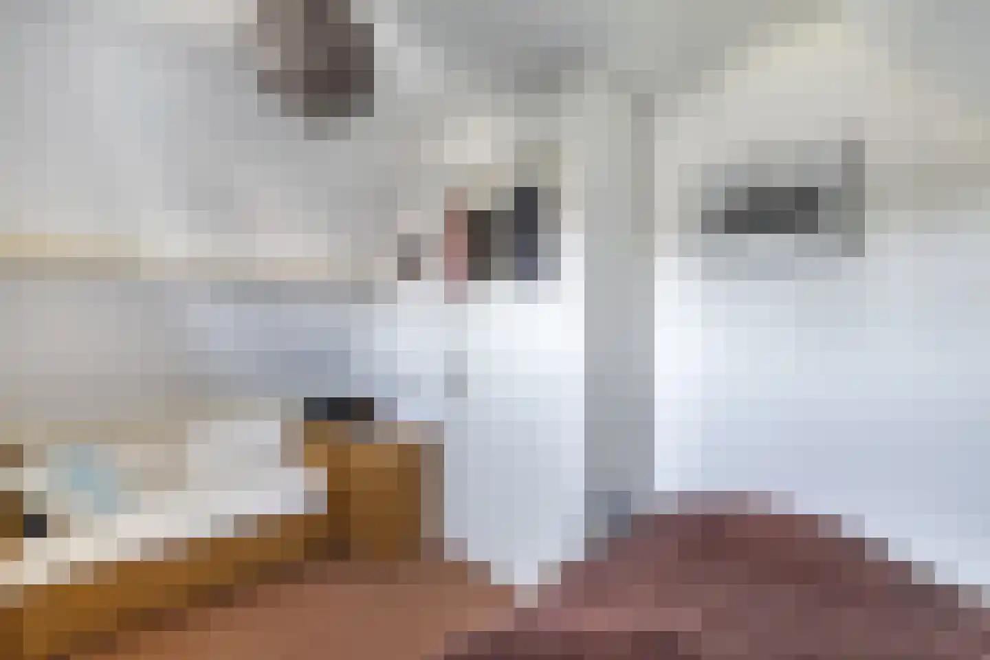 Wipbrugsteeg 2 Hindeloopen thumbnail 17