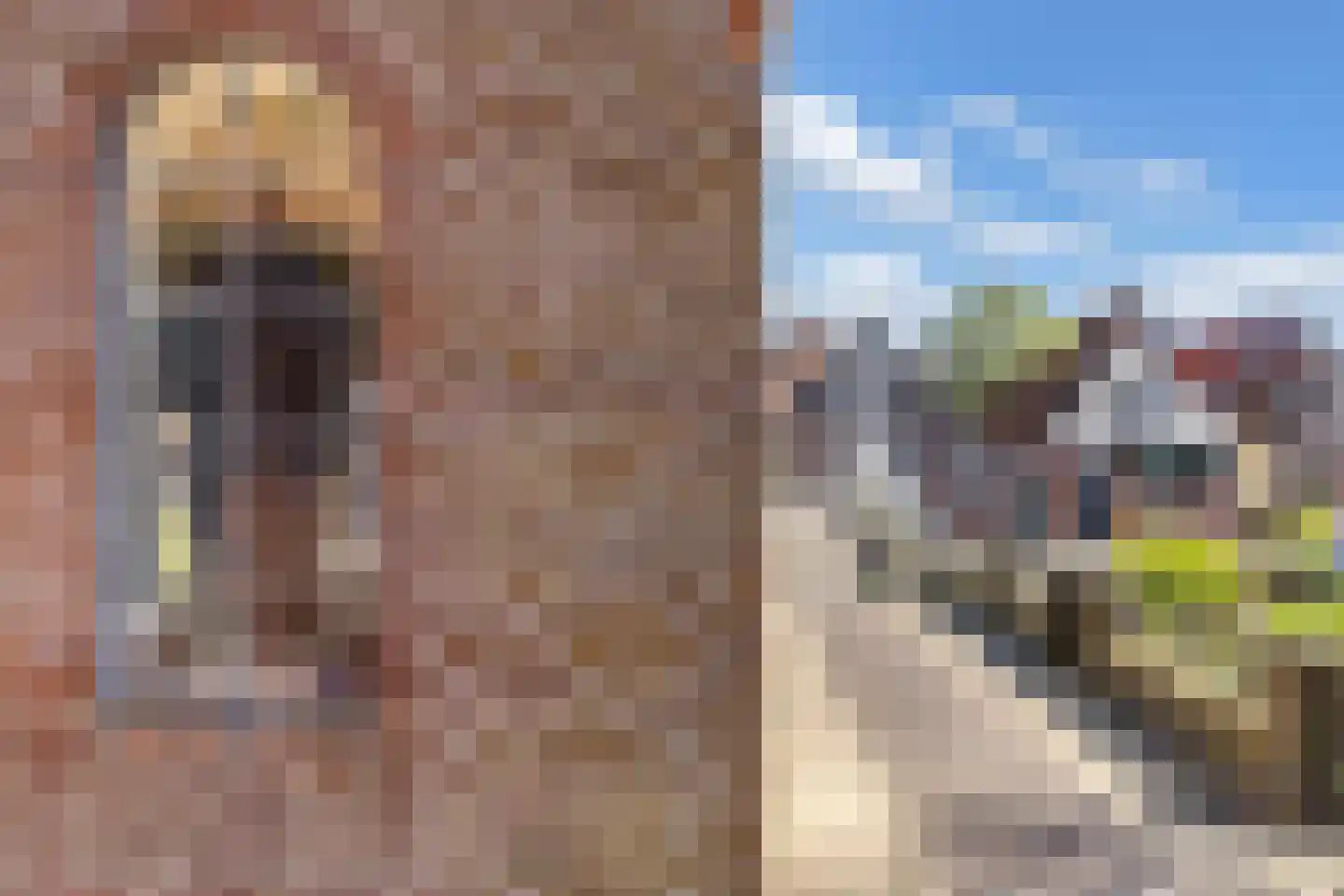 Wipbrugsteeg 2 Hindeloopen thumbnail 26