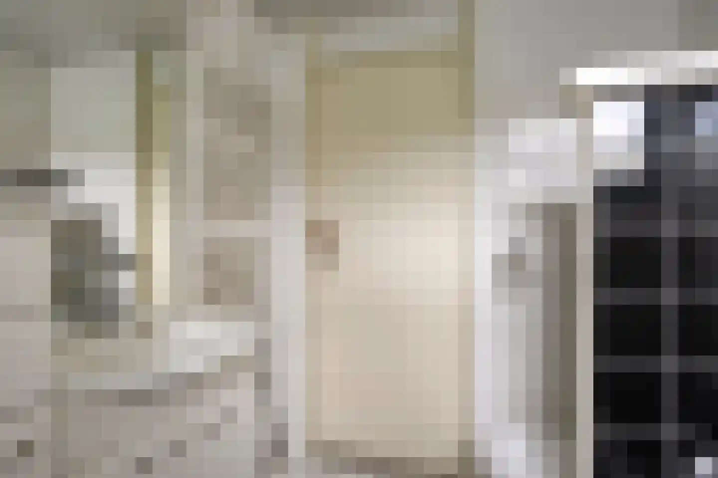Wipmolen 1 Alphen aan den Rijn thumbnail 20