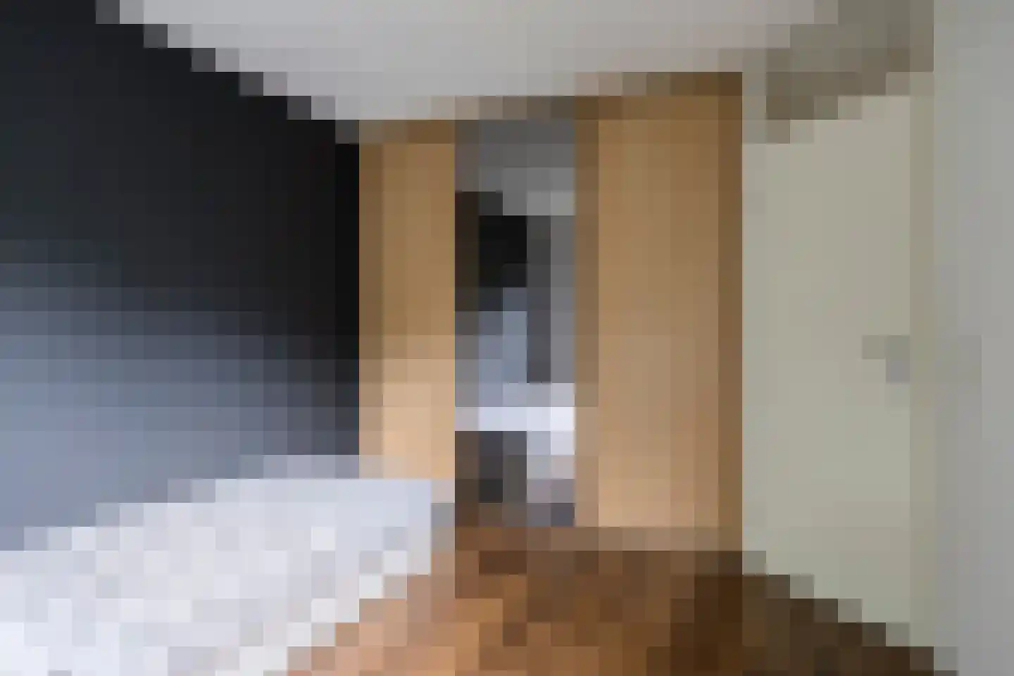 Wipmolen 1 Alphen aan den Rijn thumbnail 22