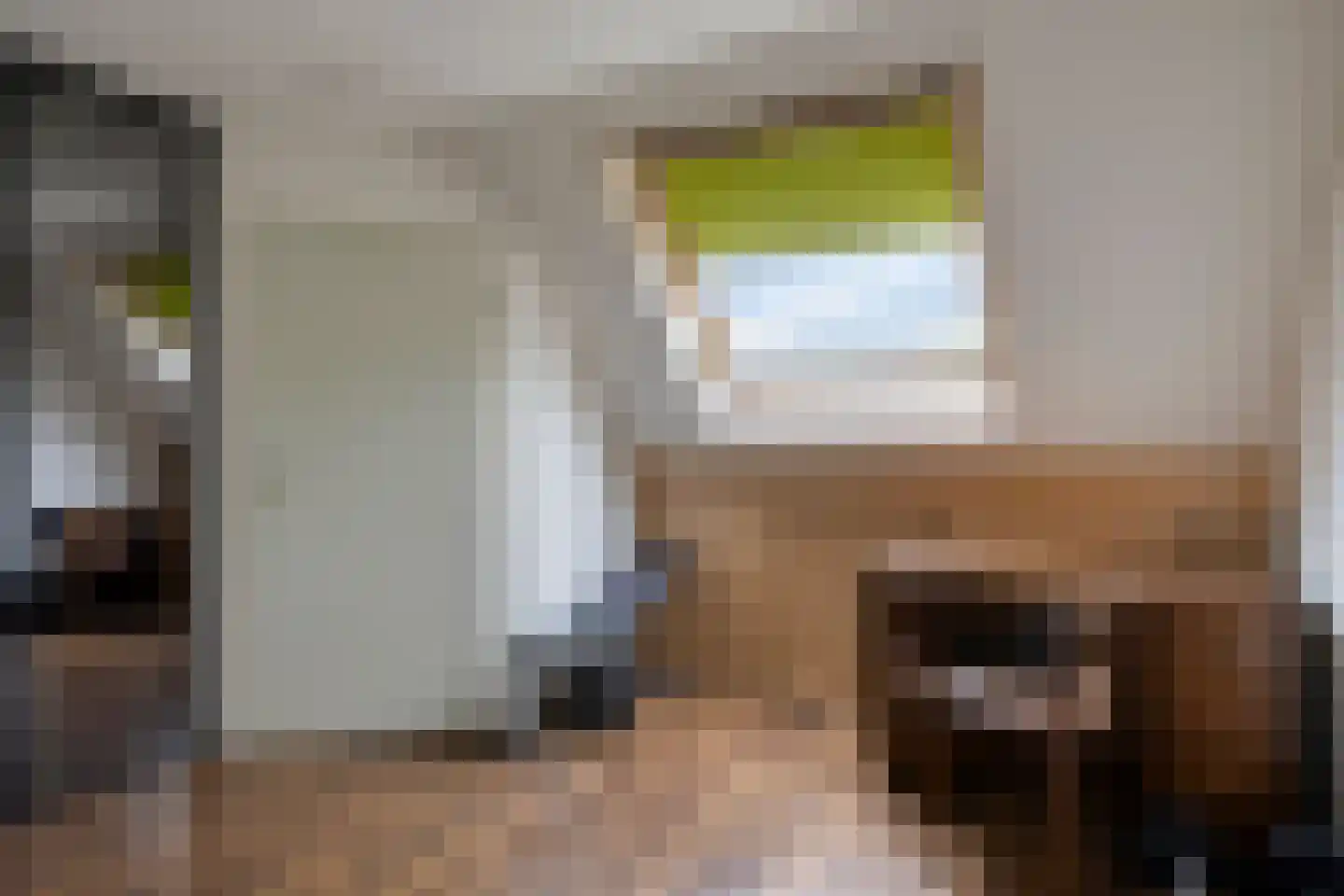 Wipmolen 1 Alphen aan den Rijn thumbnail 25