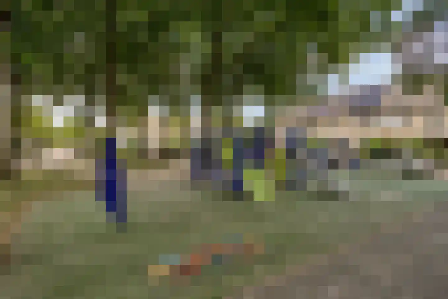 Wipmolen 1 Alphen aan den Rijn thumbnail 31