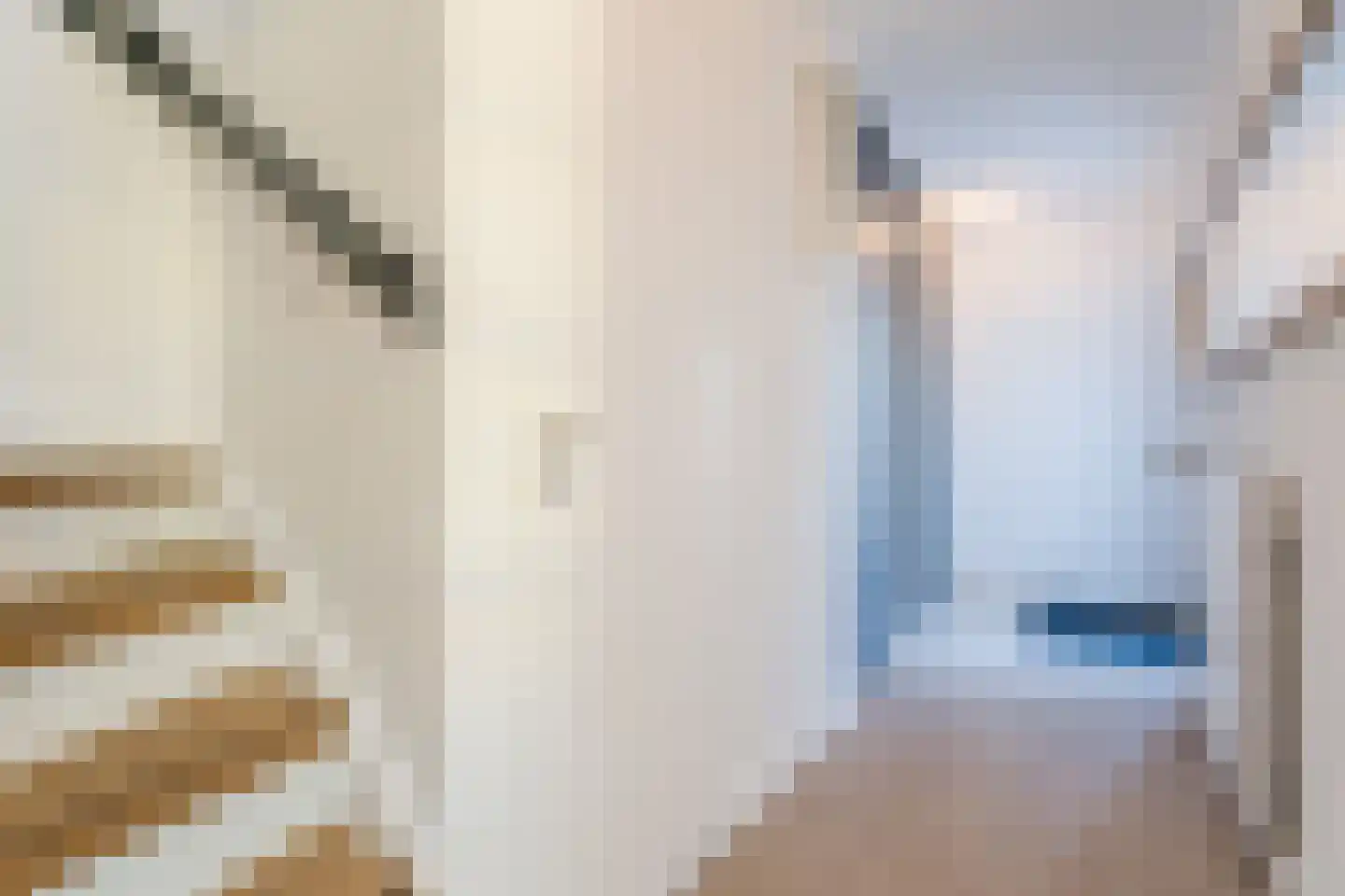 Wipmolen 1 Papendrecht thumbnail 17