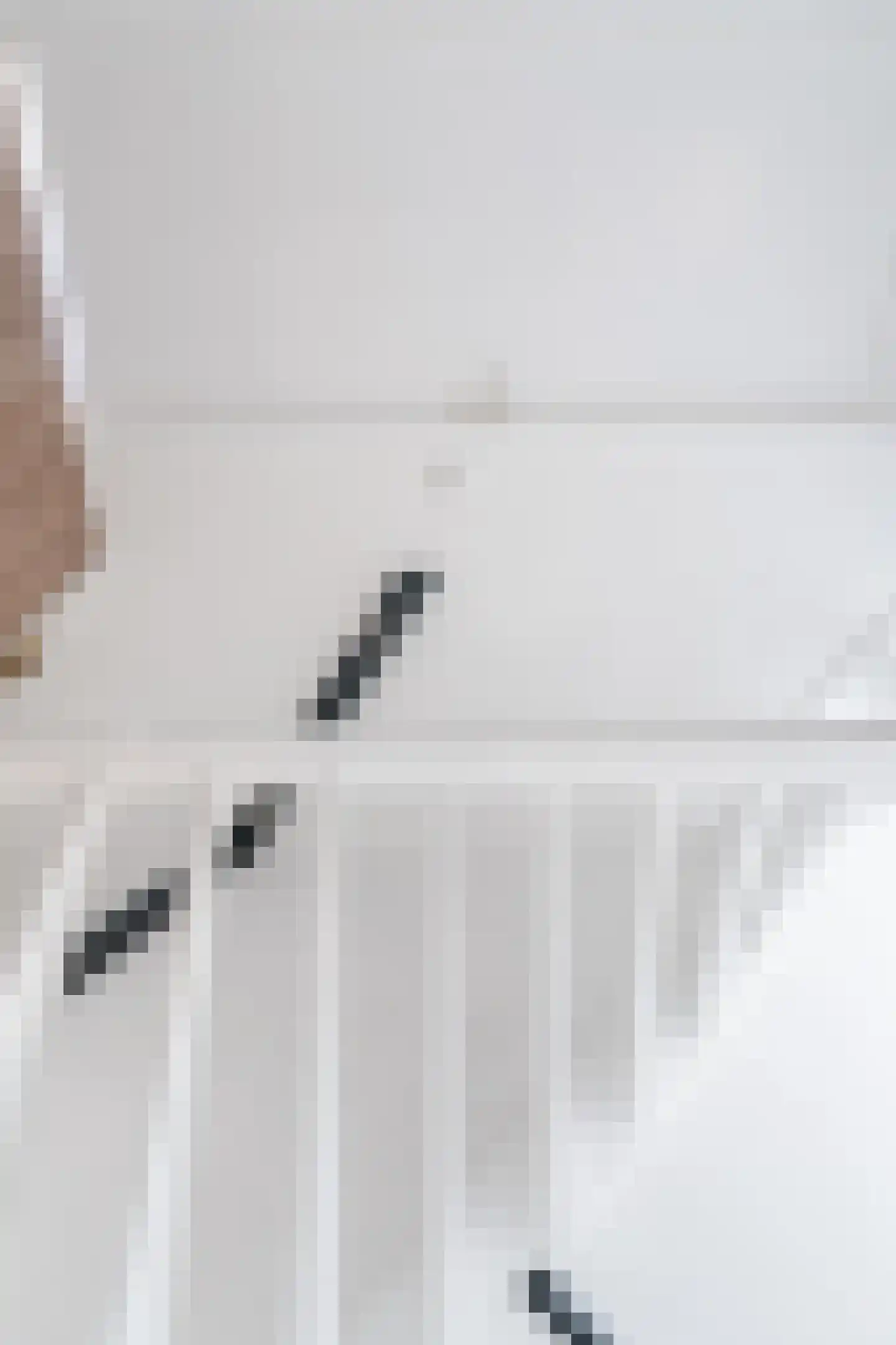 Wipmolen 1 Papendrecht thumbnail 20