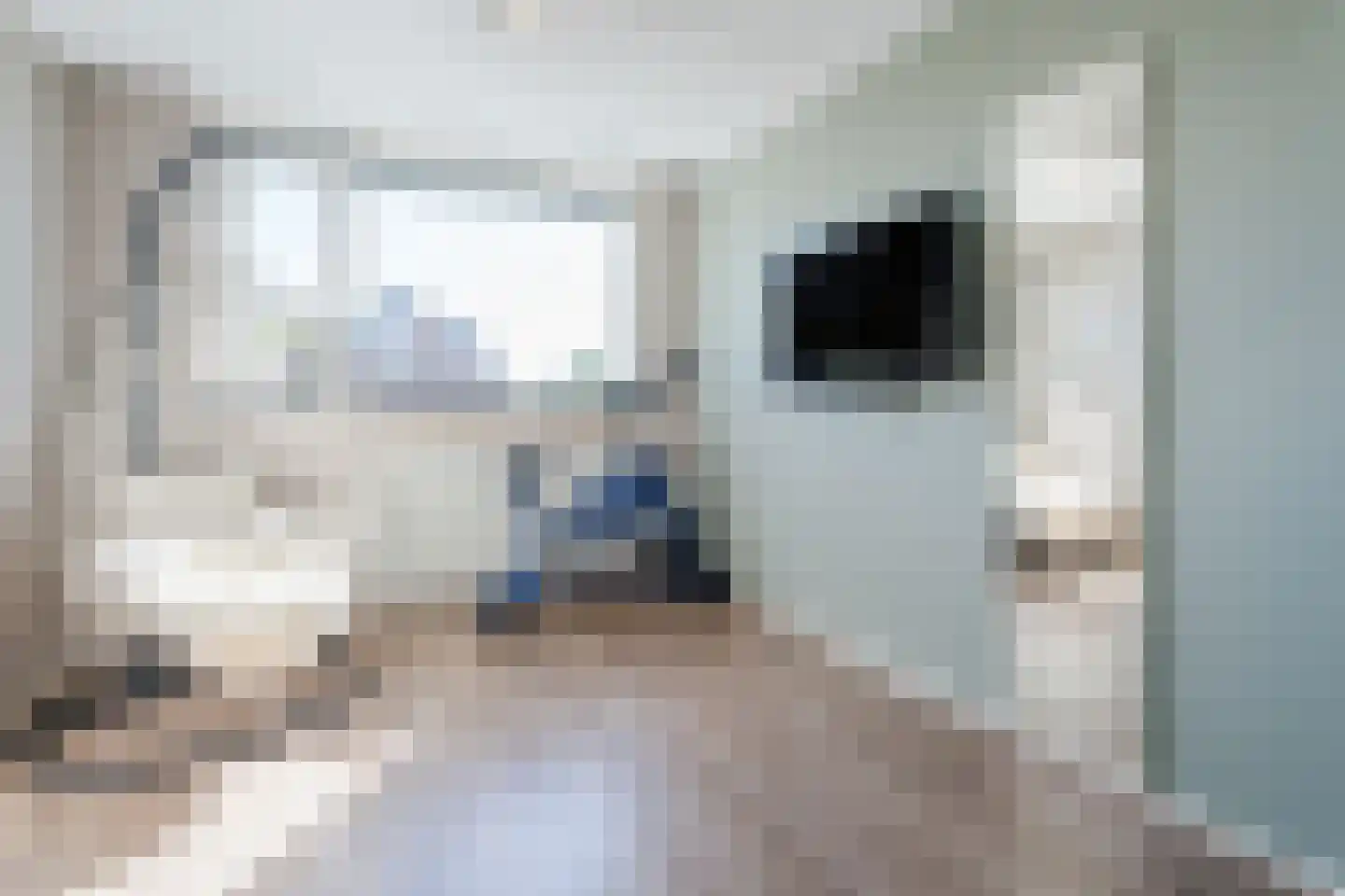 Wipmolen 1 Papendrecht thumbnail 25