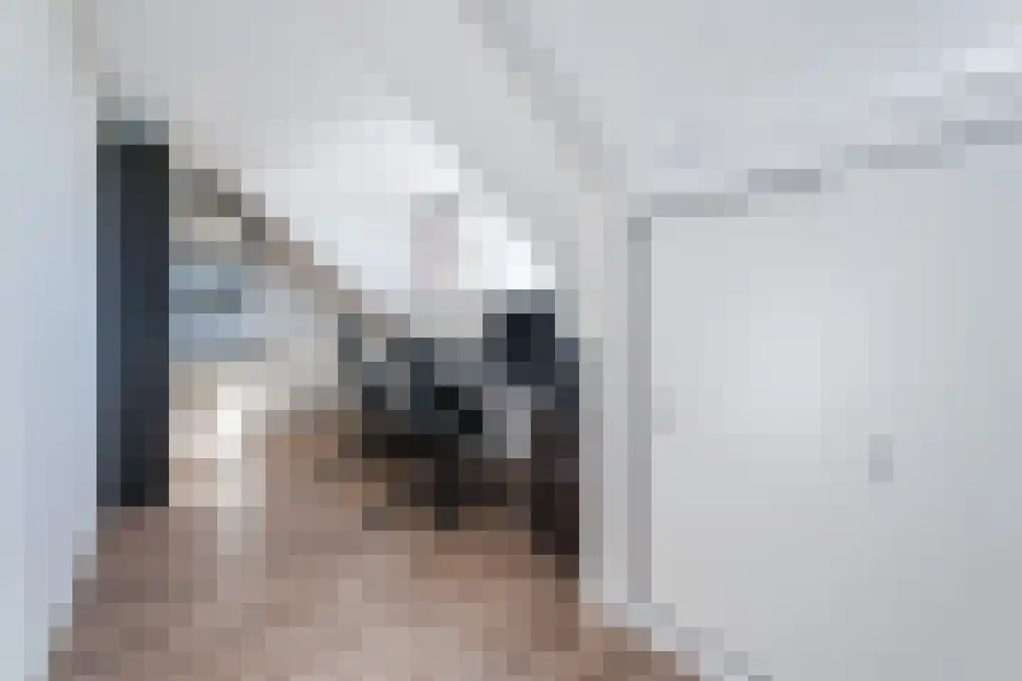 Wipmolen 1 Papendrecht thumbnail 34