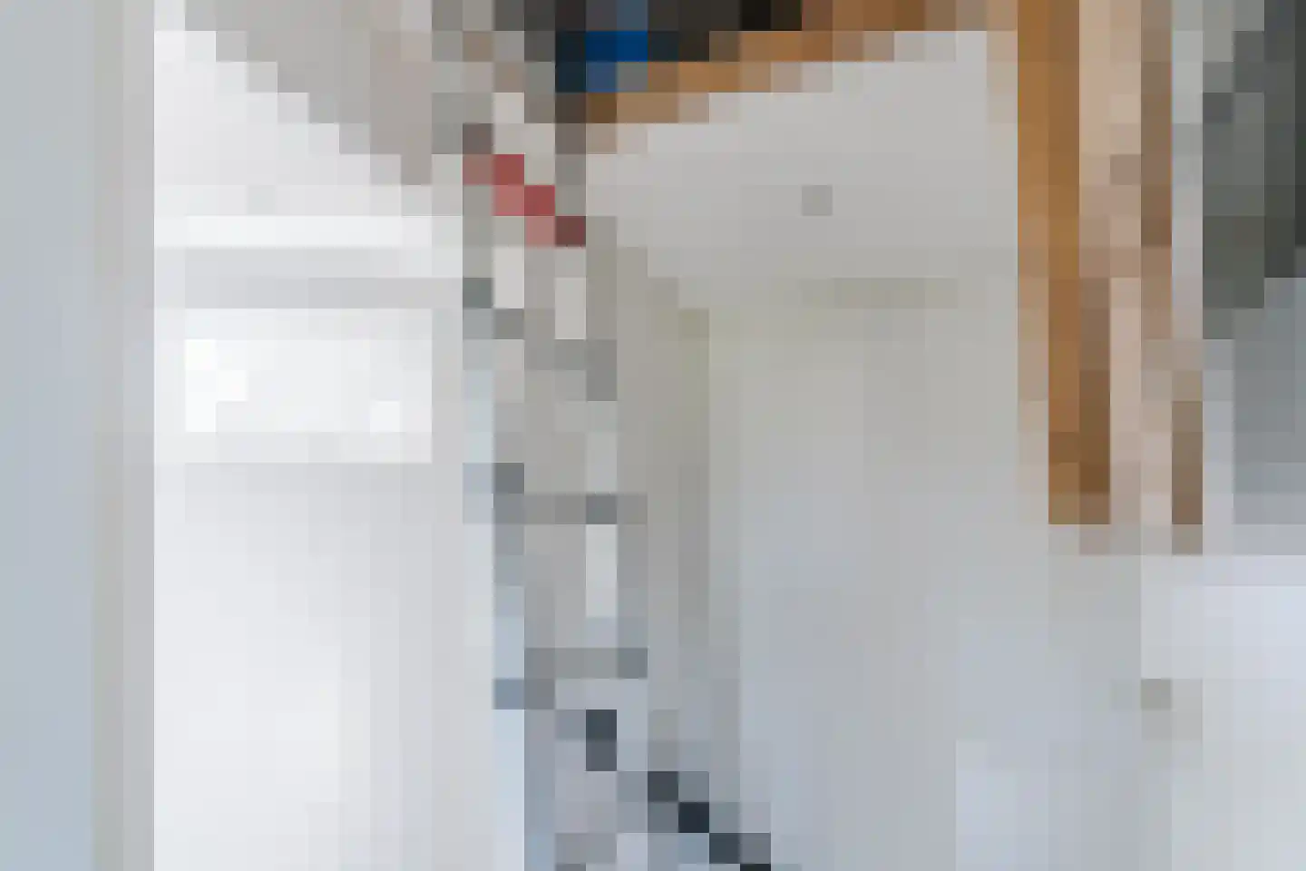 Wipmolen 1 Papendrecht thumbnail 37