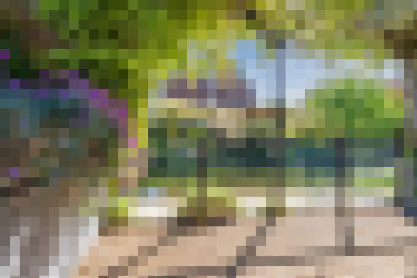 Wipmolen 1 Papendrecht thumbnail 40