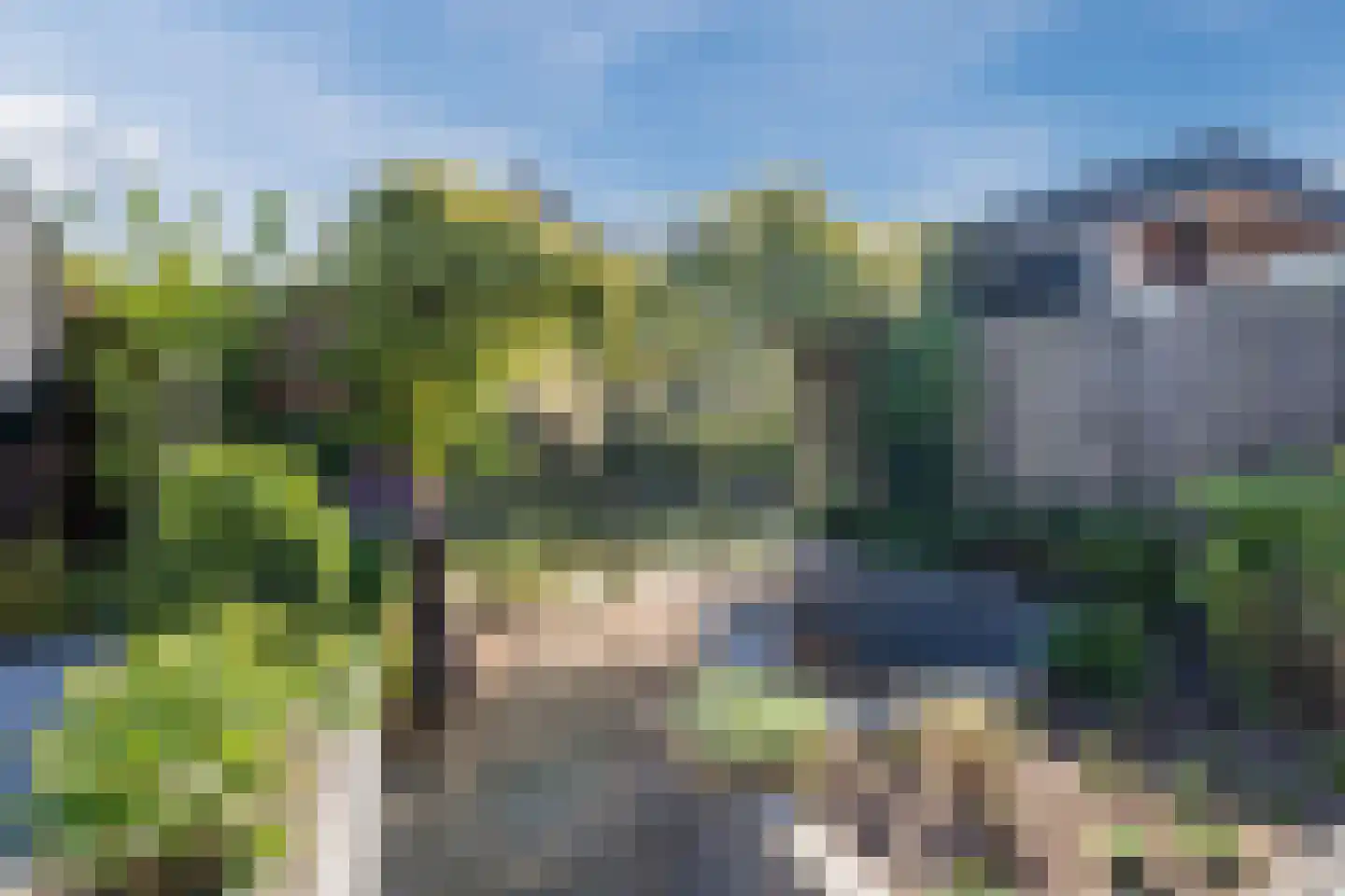 Wipmolen 1 Papendrecht thumbnail 44