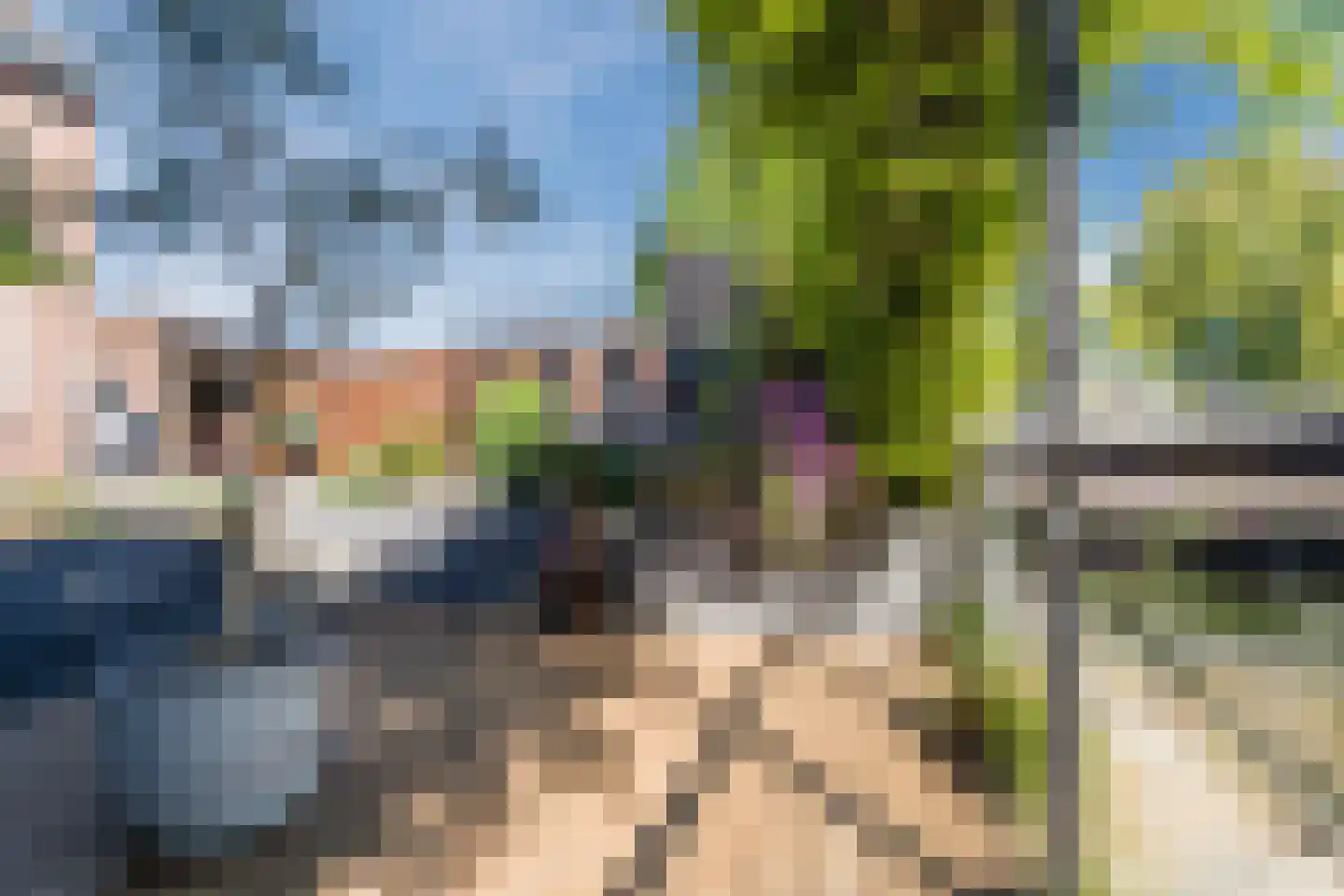 Wipmolen 1 Papendrecht thumbnail 45