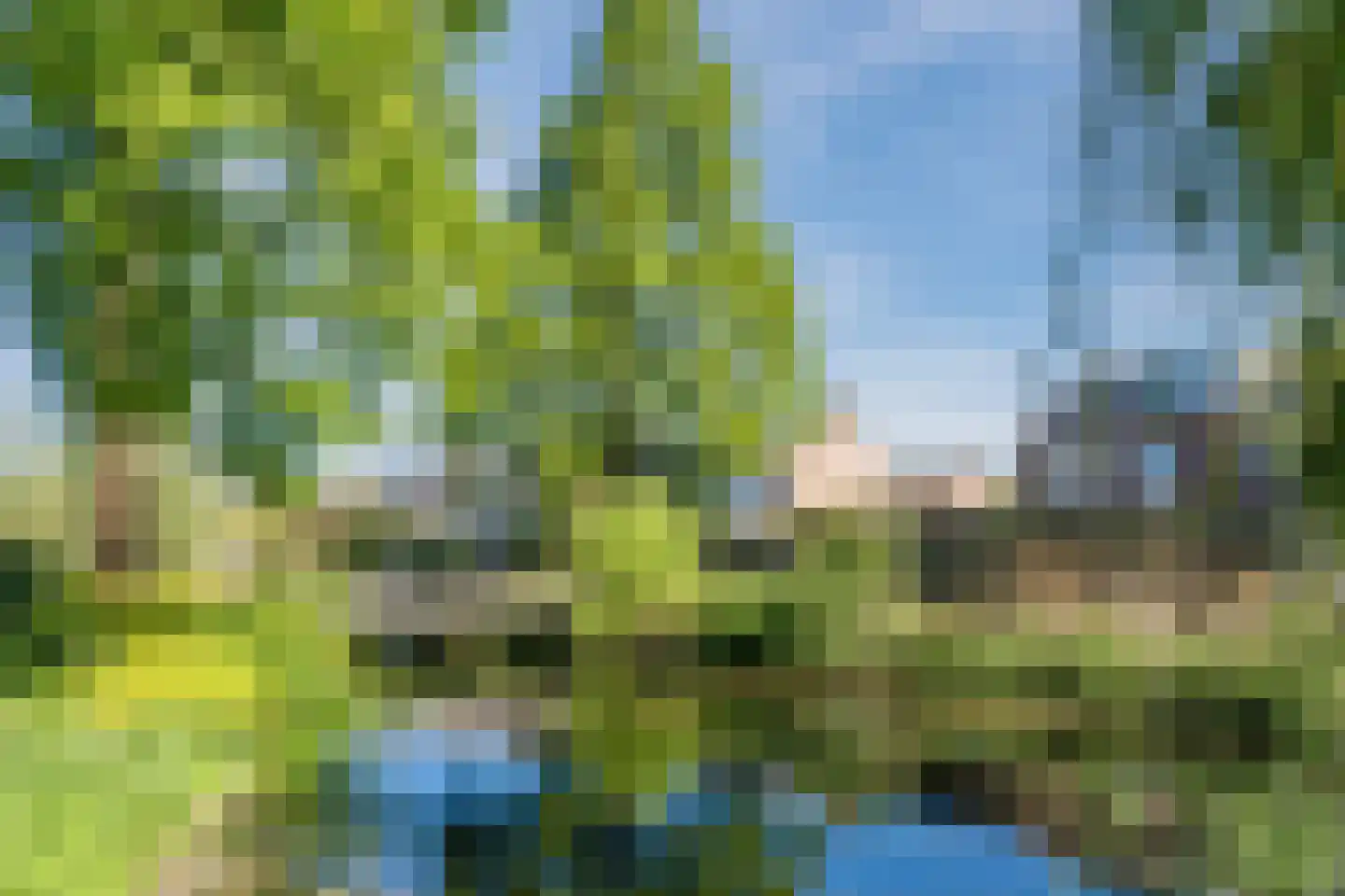 Wipmolen 1 Papendrecht thumbnail 48
