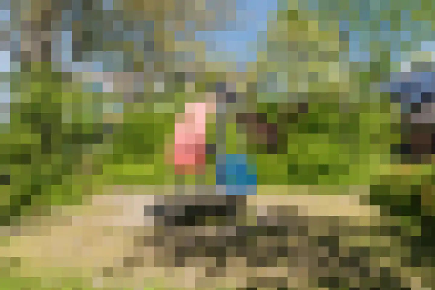 Wipmolen 1 Papendrecht thumbnail 52