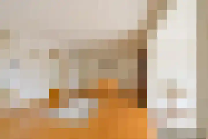 Wipmolen 11 Schagen thumbnail 11